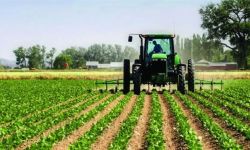 العراق ينتظر طائرات "الدرون" الإيرانية لمكافحة الآفات الزراعية